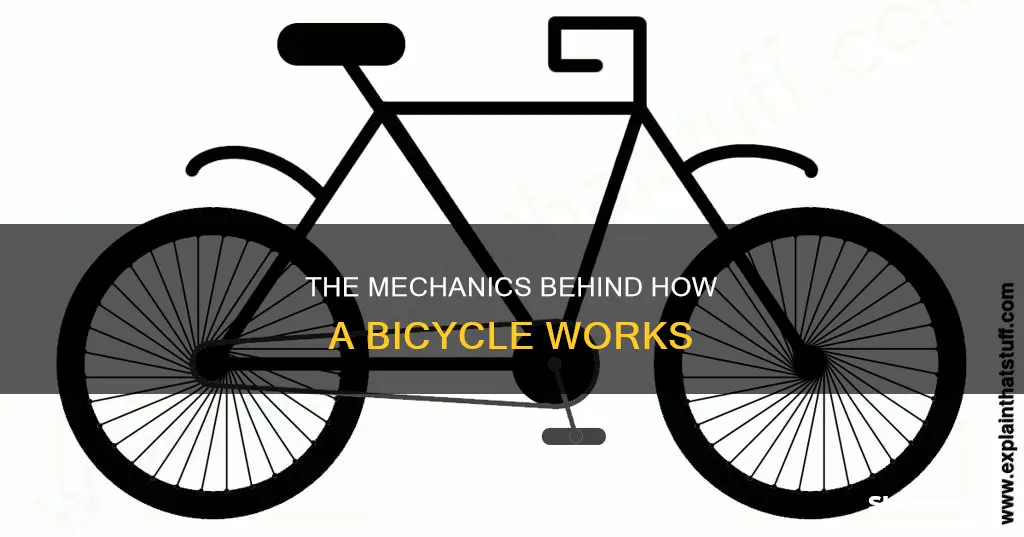 The Mechanics Behind How A Bicycle Works | ShunAuto